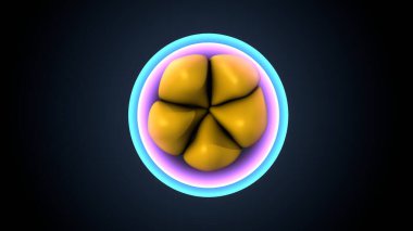 Kadın solunumu ve sperm anatomisi. 3d hazırlayıcı