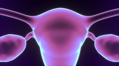 Erkek beyin anatomisi sistemi. 3d illüstrasyon