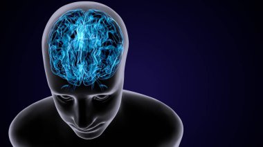 Erkek beyin anatomisi sistemi. 3d illüstrasyon