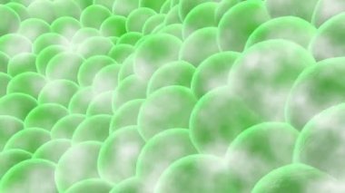 İnsan deri hücreleri anatomisi. 3d illüstrasyon