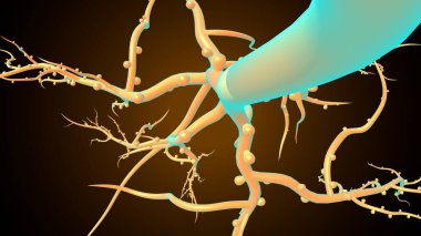 Bitkilerin kök sistemi. 3d illüstrasyon