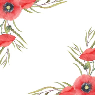 Kırmızı gelincik çiçekleri ve yeşillik. El yapımı suluboya kart. Beyaz arkaplanda sanatsal illüstrasyon. 