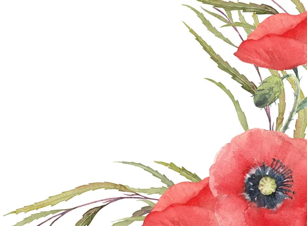 Akvarell Röda Vallmo Blommor Och Grönska Handritat Gratulationskort Konstnärlig Illustration — Stockfoto