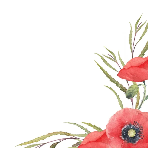 Röd Vallmo Blommor Och Grönska Handritat Akvarellset Gratulationskort Akvarell Illustration — Stockfoto