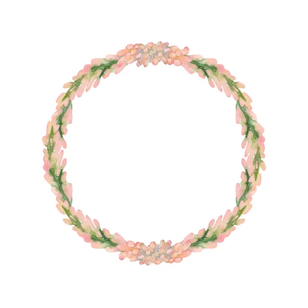 花椰菜的粉红色芽 手绘水彩花环 白色背景的艺术图解 — 图库照片