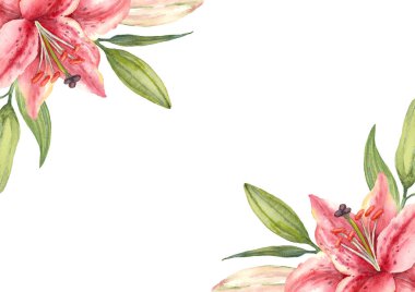 Doğulu hibrit zambaklar. İki Pembe Zambak çiçeği ve tomurcuğu. Tebrik kartı şablonu. Beyaz arkaplanda suluboya çizimi.