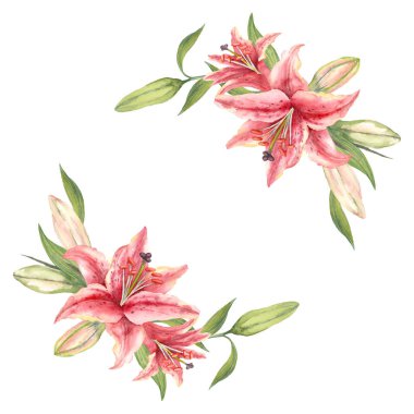 Pembe yıldız teleskopu. Zambak çiçeği. El yapımı suluboya çelenk. Beyaz arkaplanda sanatsal illüstrasyon. 