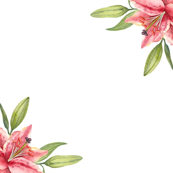 Stock image Two Pink Stargazer Lily flowers and buds. Square greeting card template. Watercolor illustration on white background.