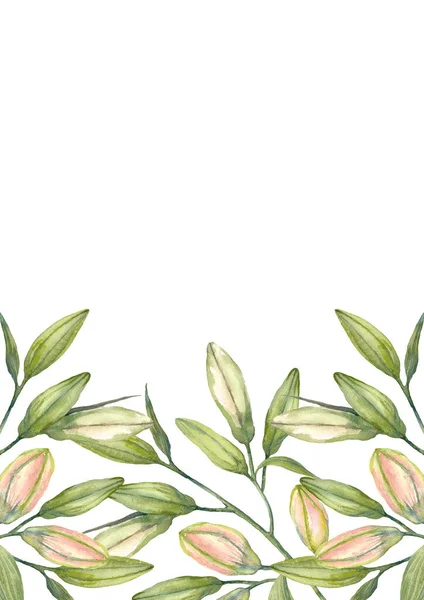Orientalische Hybridlilien Weiße Und Rosa Lilienknospen Broschüre Design Vorlage Handgezeichnetes — Stockfoto