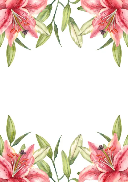 Oriental hybrid lilies. Pink lily flowers and buds. Brochure design template. Watercolor hand-drawn A4 layout on white background.