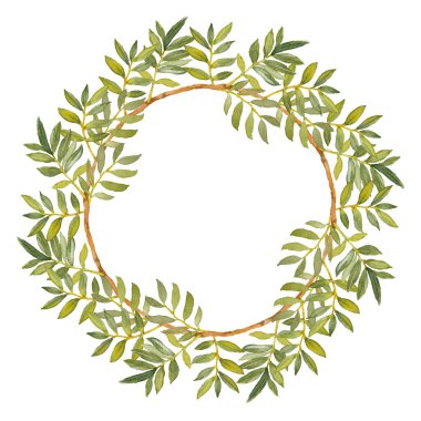 Yeşil Ruscus. Yeşillik koleksiyonu. El yapımı suluboya rond çelenk. Tasarım şablonu. Beyaz arkaplanda sanatsal illüstrasyon.