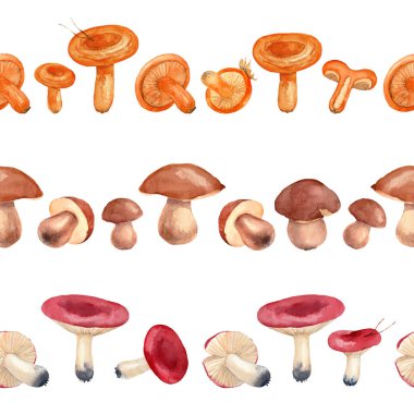 Portakallı chanterelle, Porcini ve Emetic Russula mantarları. Suluboya kusursuz sınır seti. Tebrik kartları, davetiyeler ve iç dekorasyon için el yapımı sanat eserleri. Beyaz arkaplanda vintage desen.