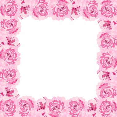 Pembe Şakayık Çiçekleri. Çiçekli kare çerçeve. Beyaz arkaplanda vektör illüstrasyonu.