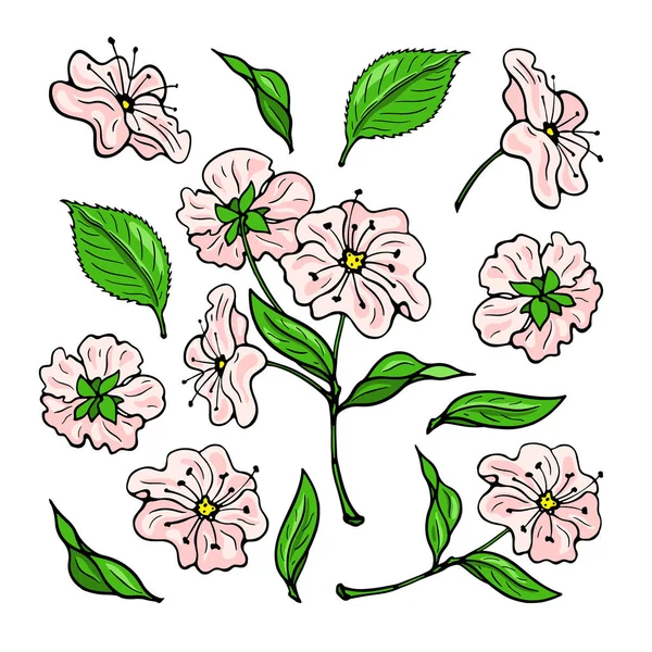 Flor Cereja Rosa Conjunto Flores Coloridas Imagem Plana Desenhada Mão —  Vetores de Stock