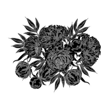 Kara Şakayıklar. El yapımı çiçek buketi. Çiçekler, tomurcuklar ve yapraklar. Broşür kapağı için çiçek tasarımı, kartpostallar, afişler ve arka plan tasarım şablonu. Vektör illüstrasyonu.