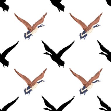 Kanada kazları. Siyah siluetler ve renkli uçan kuşlar. Kusursuz desen. Elle çizilmiş grafik tasarımı. Beyaz arkaplanda vektör illüstrasyonu.