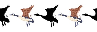 Kanada kazı. Kusursuz sınırlar. Eski tarz renkli çizimler ve siyah kuş siluetleri. Beyaz arka planda uçan kazların vektör çizimi.