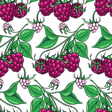 Olgun ahududu dalları. Kusursuz desen. Renkli böğürtlen El çizimi düz görüntüler. Şekerler ve tatlı tatlılar dizaynı. Beyaz arkaplanda vektör illüstrasyonu.
