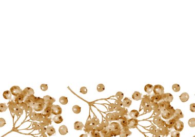 Rowan ağacının suluboya kırmızı meyveleri. Elle çizilmiş tebrik kartı. Tek renkli desen. Sepya suluboya sanatsal illüstrasyon.