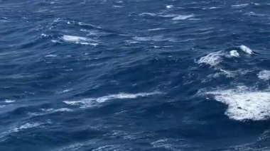 Pasifik Okyanusu 'nun mavi suyu. Güneşli bir günde büyük dalgalar ve açık okyanus dalgaları. Bir yolcu gemisinden görüntü.