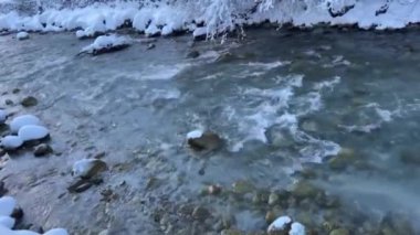 Dağ nehri. Güneşli bir günde, kristal gibi berrak bir dağ deresi karlı bir kış ormanında hızla akıyor. Karlar ve ağaç dalları ışıl ışıl karla kaplanarak dingin, doğal bir mucize yaratır..