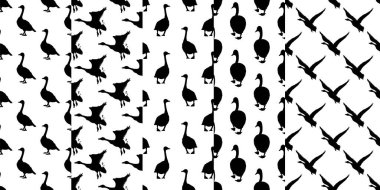 Kanada kazları. Siyah kuş siluetleri. Bir dizi kusursuz desen. Elle çizilmiş grafik tasarımı. Beyaz arkaplanda vektör illüstrasyonu.