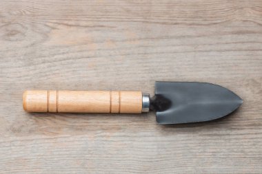 Kürek küreği saksı küreği bahçe aleti ahşap arka plan kaktüsü