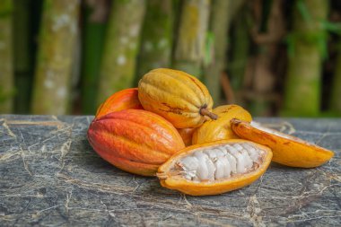 Kakao kabukları, arka plandaki organik mermer üst bambuları tamamen kapatır.