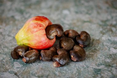 Cashew nuts fruit tropical climate exotic raw fresh sweet juicy clipart