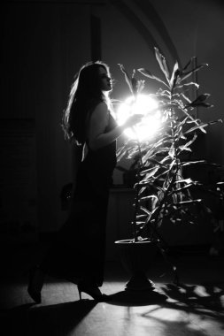 Siyah elbiseli, kameraya poz veren güzel, şehvetli bir kadının siyah beyaz fotoğrafı.