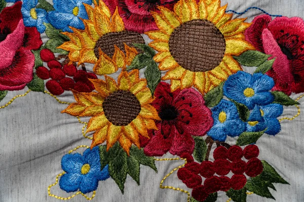 우크라 Lutsk May 2023 Ukrainian Embroidery Open Door Day Volyn — 스톡 사진
