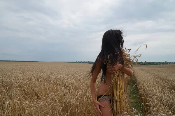 Seorang Gadis Dengan Rambut Cokelat Panjang Dan Lingerie Lapangan Gandum — Stok Foto
