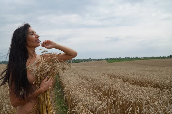 Girl Long Brunette Hair Lingerie Field Golden Wheat — Stock Photo, Image