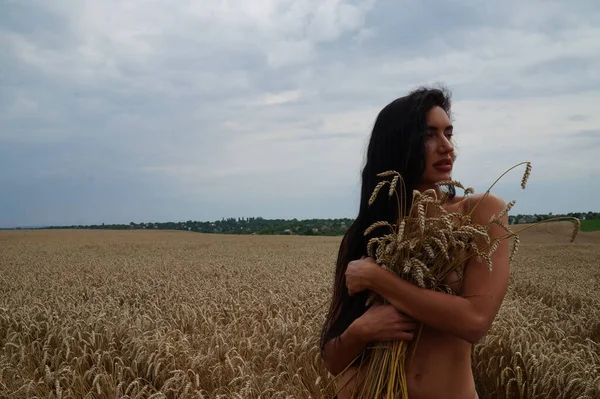 stock image a girl with long brunette hair and Lingerie in the field of golden wheat.