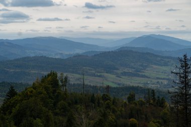 Muhteşem panoramik manzarası güçlü Karpatlar dağlar ve güzel mavi gökyüzü arka plan üzerinde iğne yapraklı orman. Vahşi bakire Ukraynalı doğa güzelliği. Sükunet