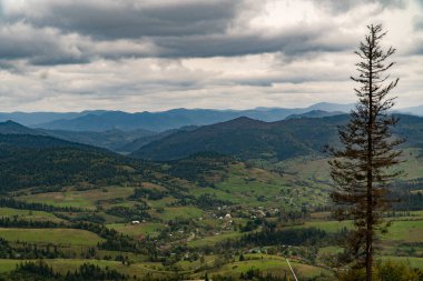 Muhteşem panoramik manzarası güçlü Karpatlar dağlar ve güzel mavi gökyüzü arka plan üzerinde iğne yapraklı orman. Vahşi bakire Ukraynalı doğa güzelliği. Sükunet