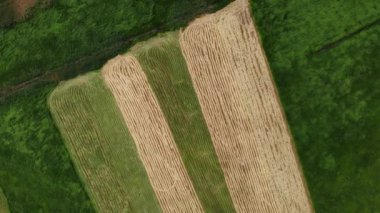 Hava manzarası, kırsal arazinin güzel drone görüntüleri.