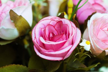 Beyaz arkaplanda pembe ve beyaz gül buketini kapat.