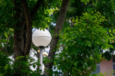 Bahçede ağaç ve yeşil yapraklı lamba direği