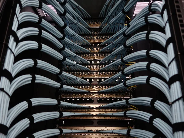 データセンター内のネットワークケーブルの閉鎖 ストック画像