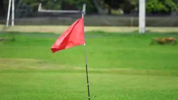 Червоний Прапор Полі Гольфу Зеленою Травою Отвором Гольфу — стокове відео