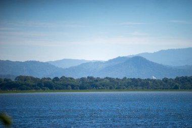Su deposu doğayla dolu, hayat dolu..