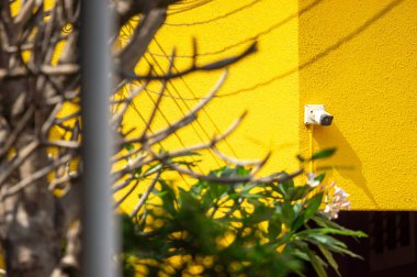 Güvenlik kamerası olan parlak sarı duvar yapraklı bitki ve dallar arasında modern bir güvenlik detayını yakalıyor ve canlı bir şehir manzarası yaratıyor..