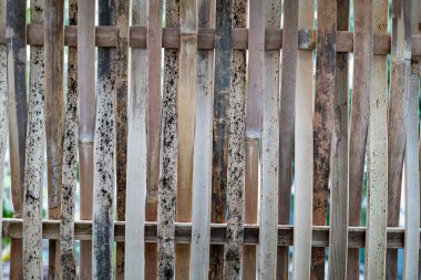 Kırsal bir bambu çitin, yıpranmış dokusunu gösteren yakın plan görüntüsü. Bu doğal element dış uzayı dünyevi tonu ve eşsiz desenleri ile güçlendirir..