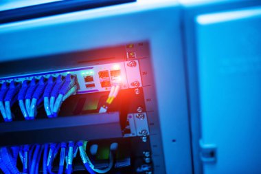 Bu yakın plan resim, bir veri merkezinde modern teknoloji ve bağlantıyı vurgulayarak, parlak renkli ethernet kabloları ve aydınlatma göstergeleriyle bir ağ anahtarı gösteriyor.