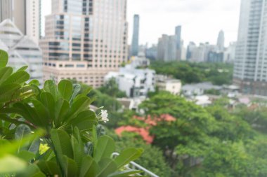 Keskin odak noktasında canlı yeşil bir balkondan sakin bir manzara, arka planda yumuşak, bulanık şehir silueti, doğa ve şehir meraklıları için mükemmel..