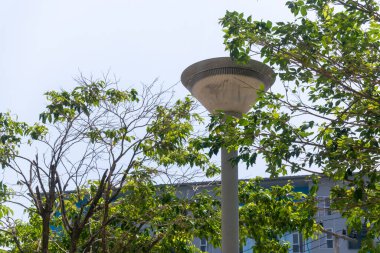 Şehir ortamında yeşil ağaçların arasında bir sokak lambası duruyor. Bu sahne, temiz gökyüzü altında doğanın ve modern altyapının karışımını yakalıyor..