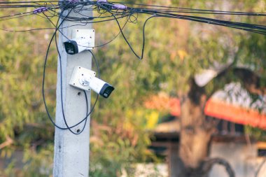 Elektrik direğine monte edilmiş iki güvenlik kamerası şehir yaşamını yakalıyor. Arka planda, bulanık doğa ve ağaçlar, teknolojinin güvenlikteki rolünü gösteren zıt bir sahne sunuyor..