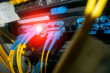 Ağ donanımına bağlı fiber optik kabloların yakın görüntüsü, canlı renkler ve aydınlatma sergiliyor. Bu resim modern teknolojiyi ve bağlantıyı temsil ediyor..