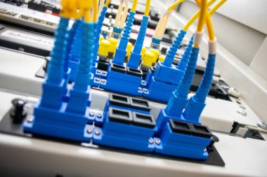 Canlı fiber optik kablolar, veri merkezi ekipmanlarını çevreleyip modern ağ ve iletişim sistemlerini geliştiren karmaşık bağlantıları sergiliyor..